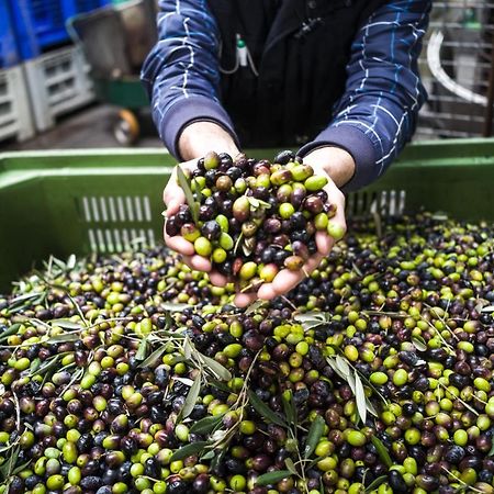Ca Dei Sauri - Taste Of Puglia Leilighet Castelluccio dei Sauri Eksteriør bilde