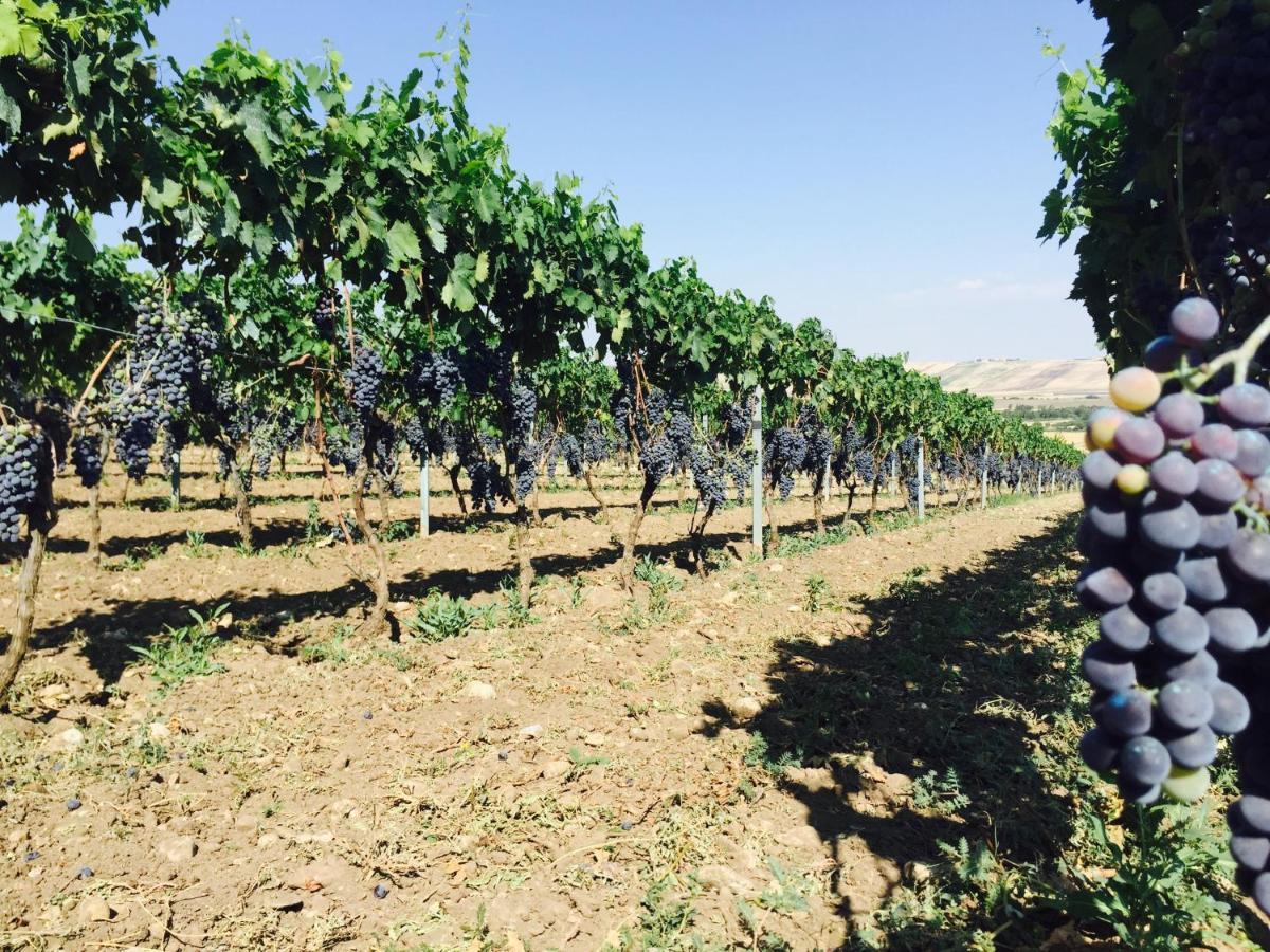 Ca Dei Sauri - Taste Of Puglia Leilighet Castelluccio dei Sauri Eksteriør bilde